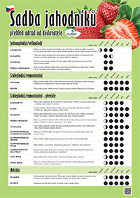 Sadba jahodníků